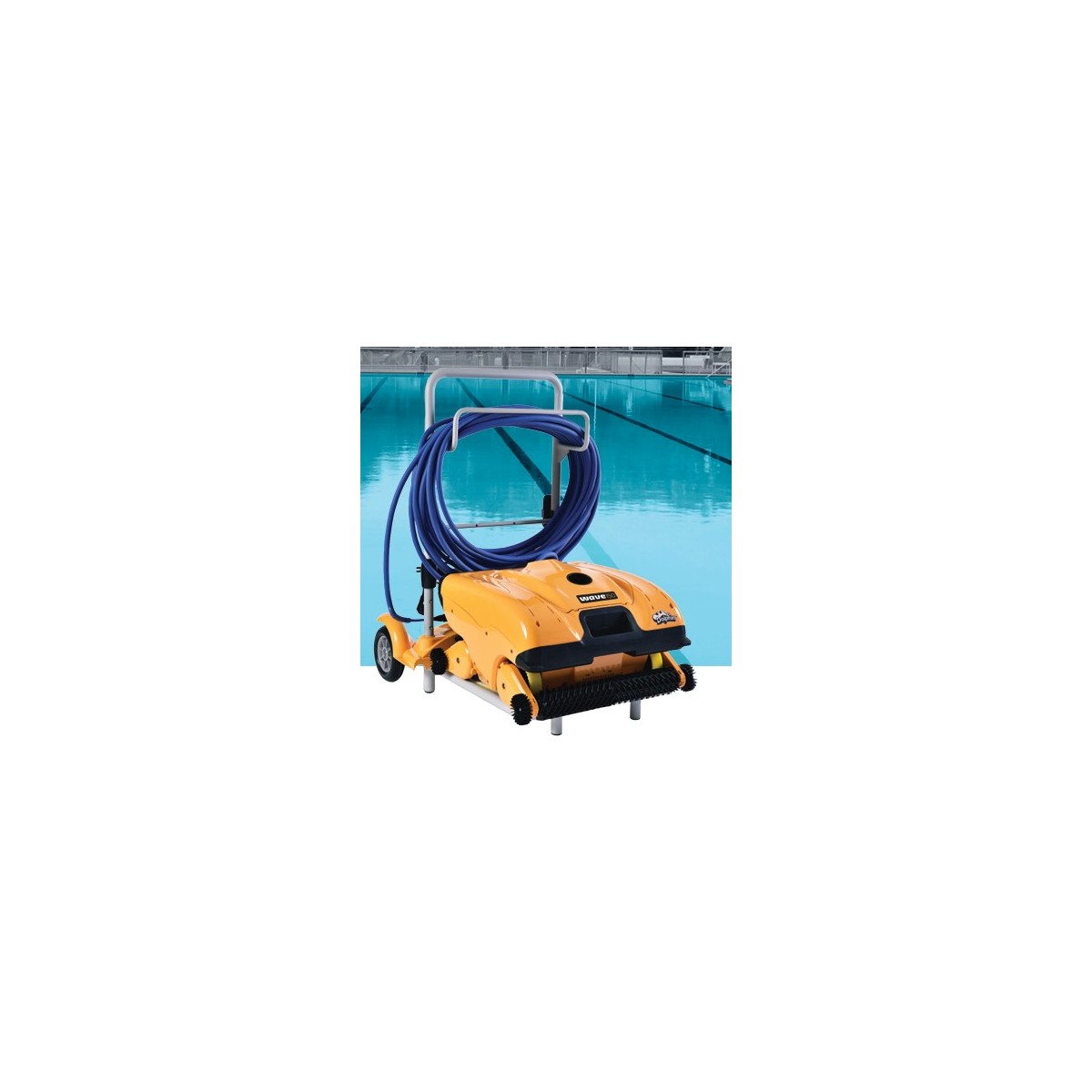 Robotic pool cleaner Dolphin Wave 100 online