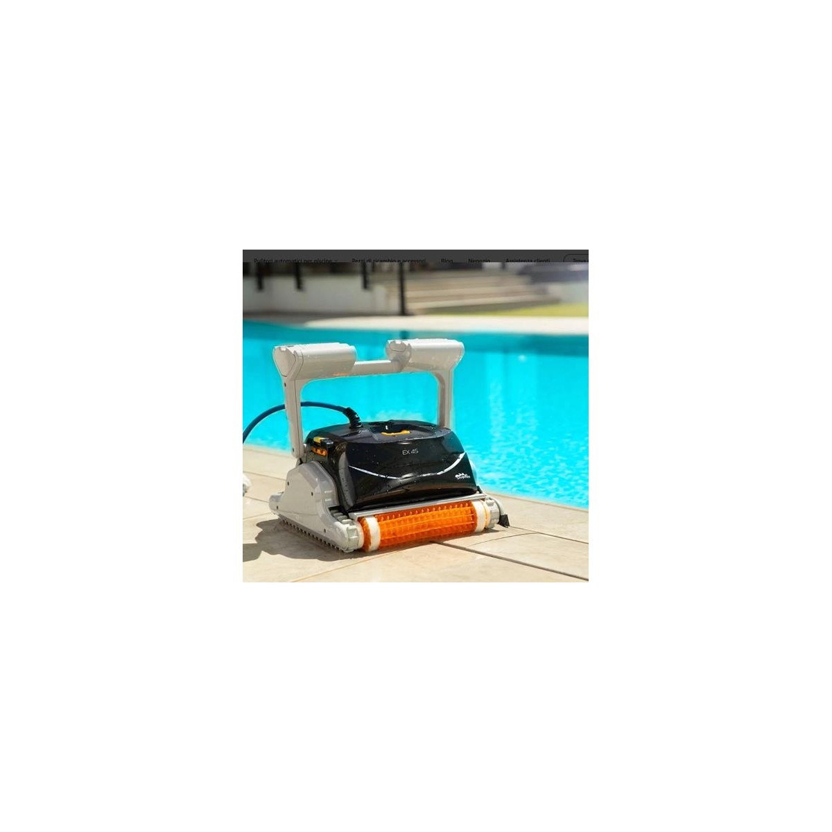 Buy Robotic pool cleaner Dolphin Explorer online