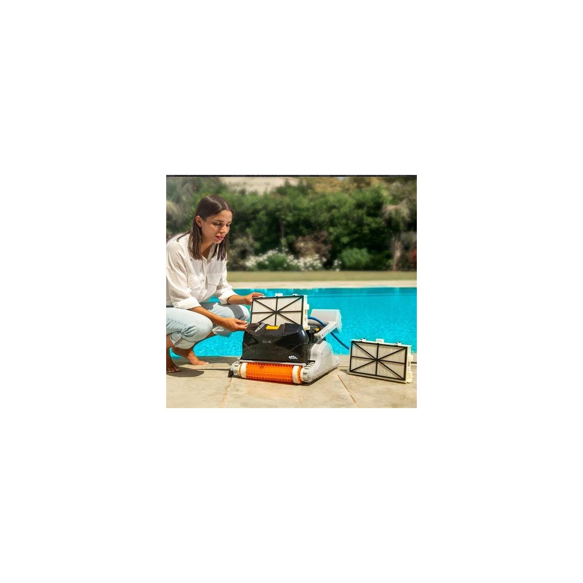 Buy Robotic pool cleaner Dolphin Explorer online