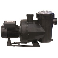 Astral Victoria Plus pump - kw 0.43 - Load 10 m3/h single speed