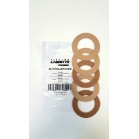 O'ring gasket for Suction loop pools Laghetto