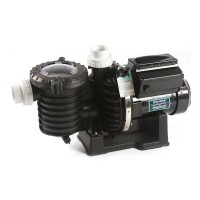 IntelliFlo SW5P6R VSD2 pump adjustable speed