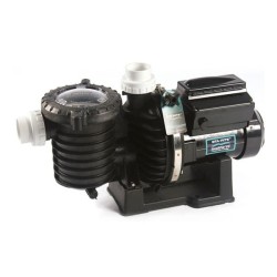 Buy IntelliFlo SW5P6R VSD2 pump adjustable speed