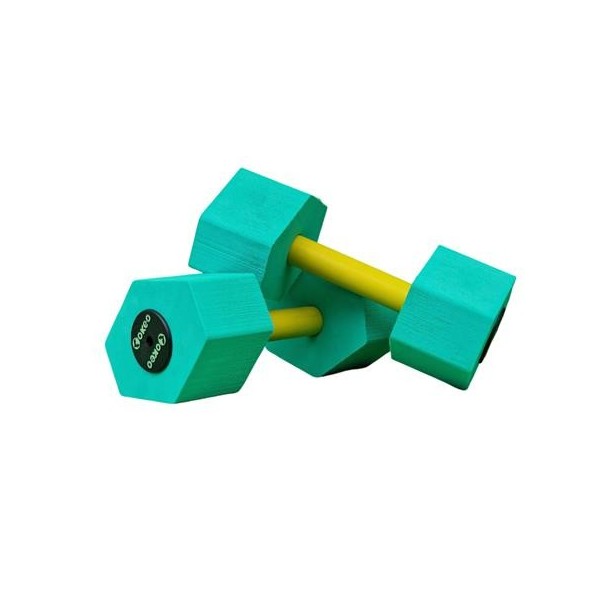 Buy Pair of barbells online | Vannini Aqua&Pool