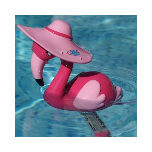 Well2wellness Termometro Piscina Piscina Termometro Blu - 24 cm (024387