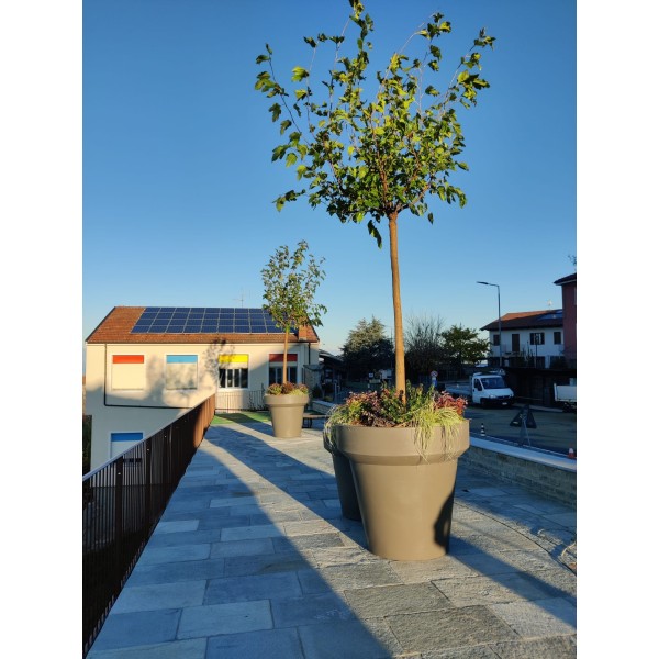 VASO ARKEMA POT XL - | Vannini Aqua&Pool